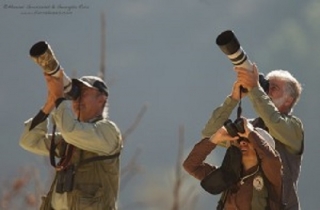 fotografia de la naturaleza